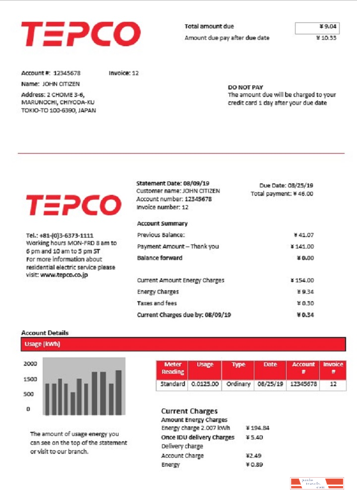 Japan Tokyo Electric Power Company electricity utility bill template in Word and PDF format